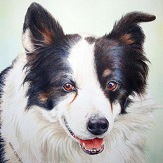 Karen Frampton, New Forest Artist, paintings, greeting cards, murals, slate, Hampshire, UK