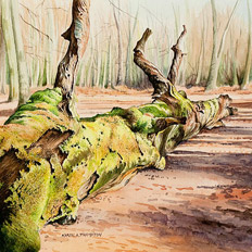 Karen Frampton, New Forest Artist, paintings, greeting cards, murals, slate, Hampshire, UK
